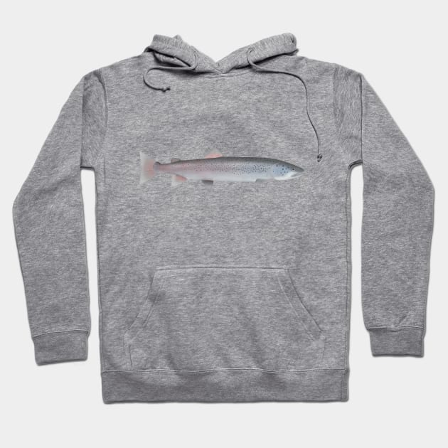 Danube Salmon Hoodie by FishFolkArt